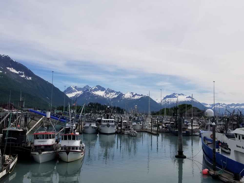 a6a4605af5ccba5cf1998cdb8bad9055_1532848