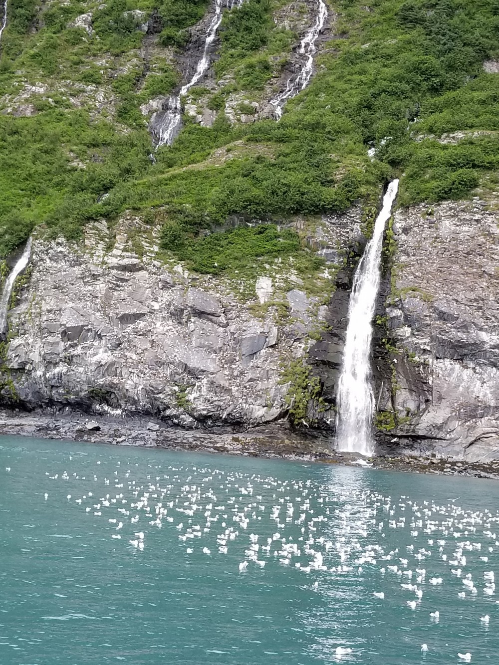 758d76ba61c177edbd423c016ba9e3f9_1534581